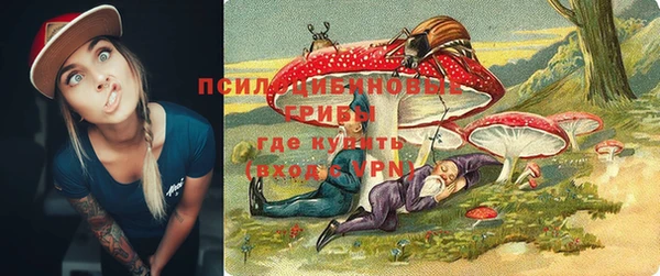 дмт Горняк