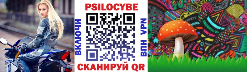 OMG рабочий сайт  Заинск  Галлюциногенные грибы GOLDEN TEACHER  где найти  